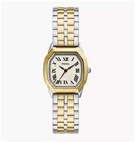 Montre Fossil Femme Harlow in Acier ES5362